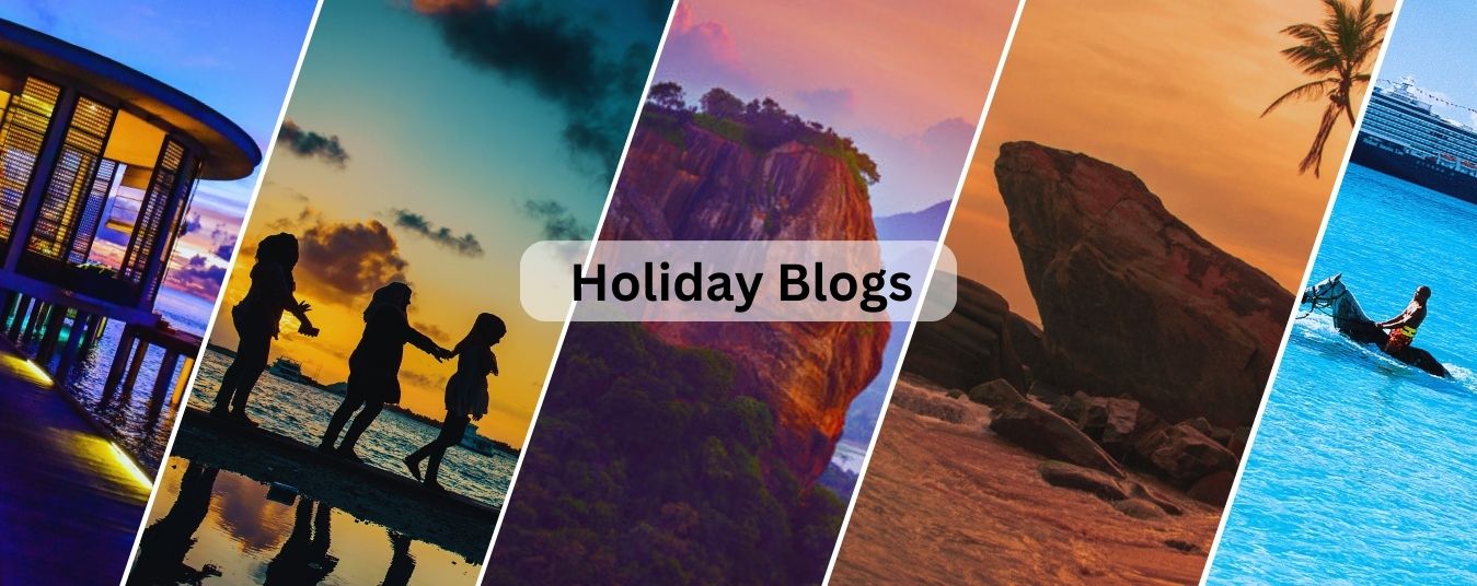 Holiday Blogs